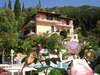 Dinas Paradise 